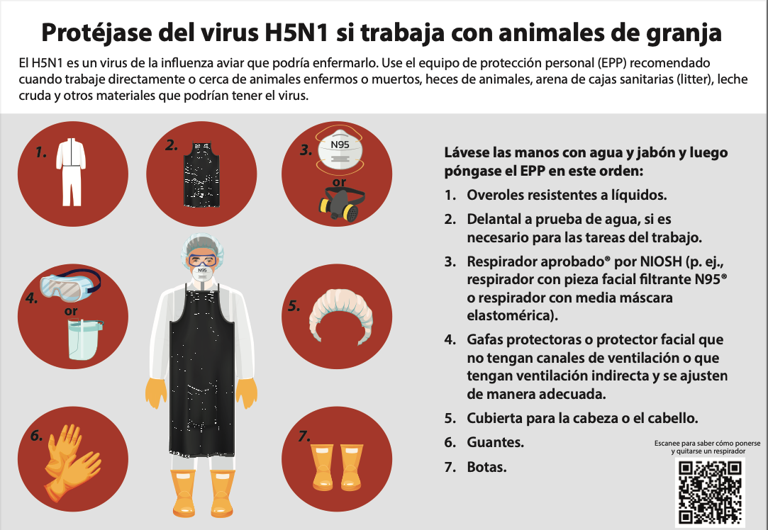 Folleto educativo de los CDC