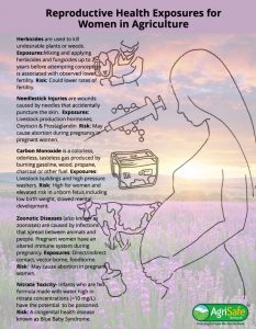 Reproductive Health Exposures for Women in Agriculture